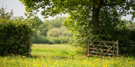 Spring Wanderings - Off the Beaten Track