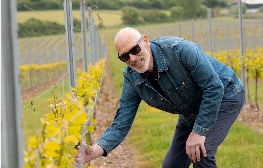 The Wine World Has No Sense of Humour. That's The Opportunity.