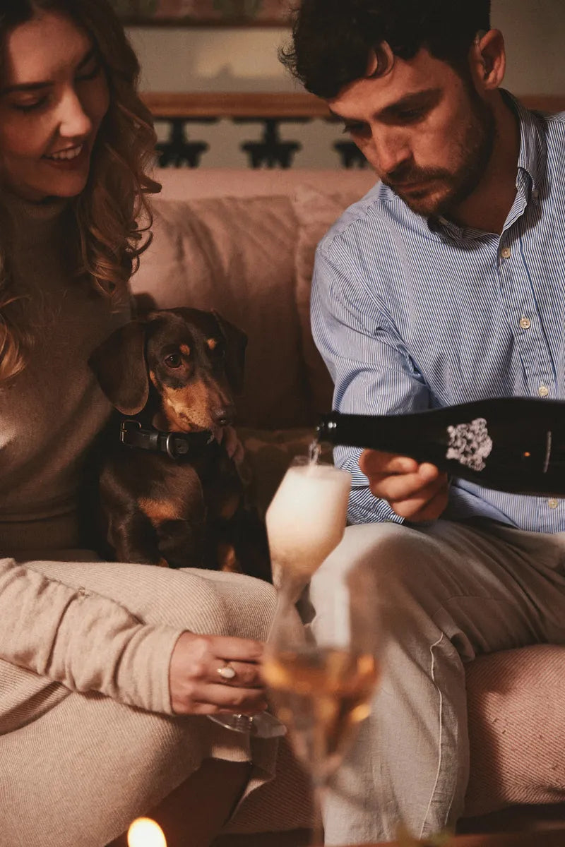 Pouring Folc sparkling rosé on the sofa with a dachshund