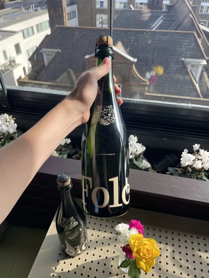 A bottle of Folc sparkling rosé held out over the rooftops