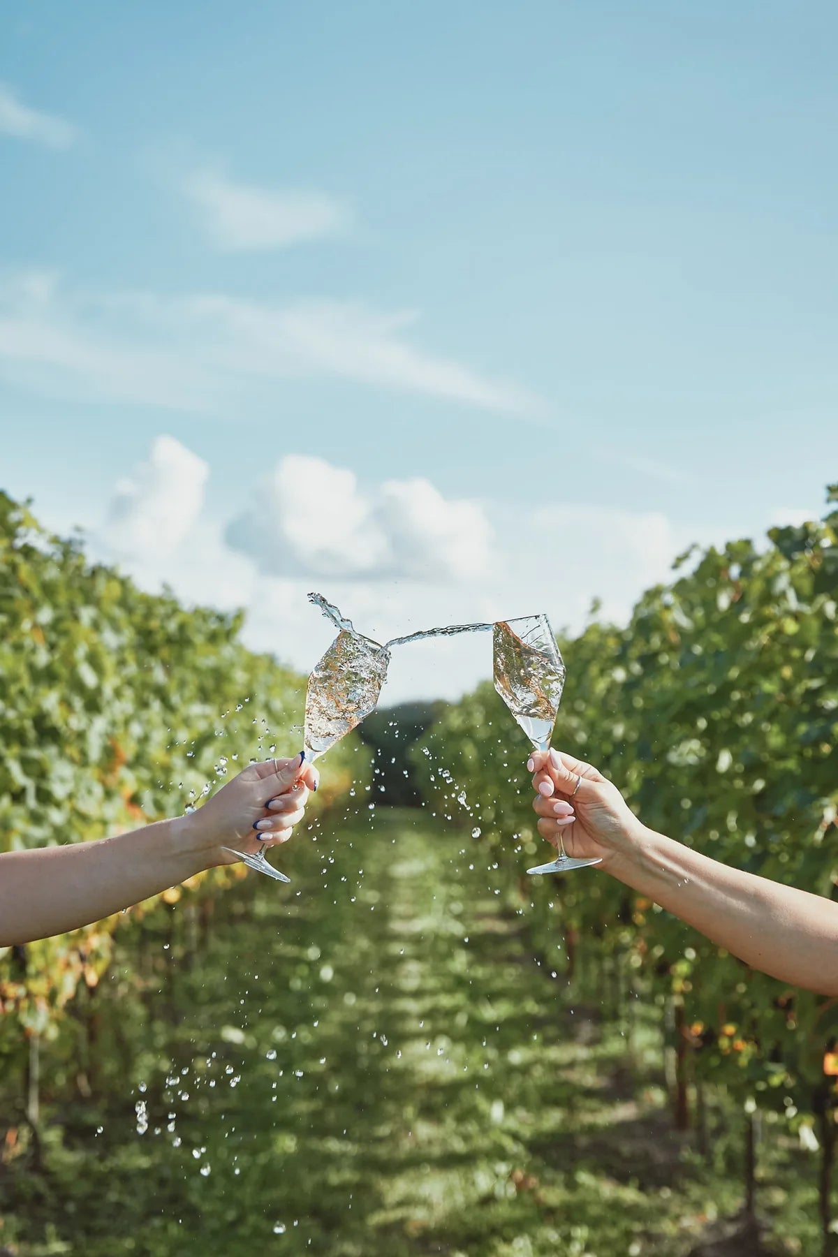Two glasses of Folc raised in a Kent vineyard
