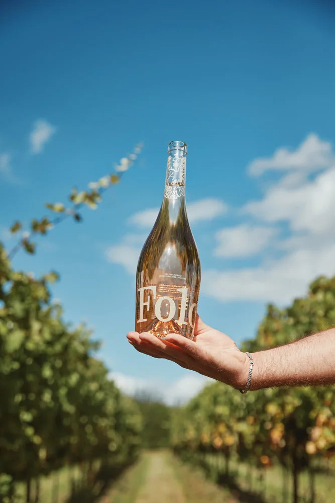 A bottle of Folc rosé held out in a vineyard