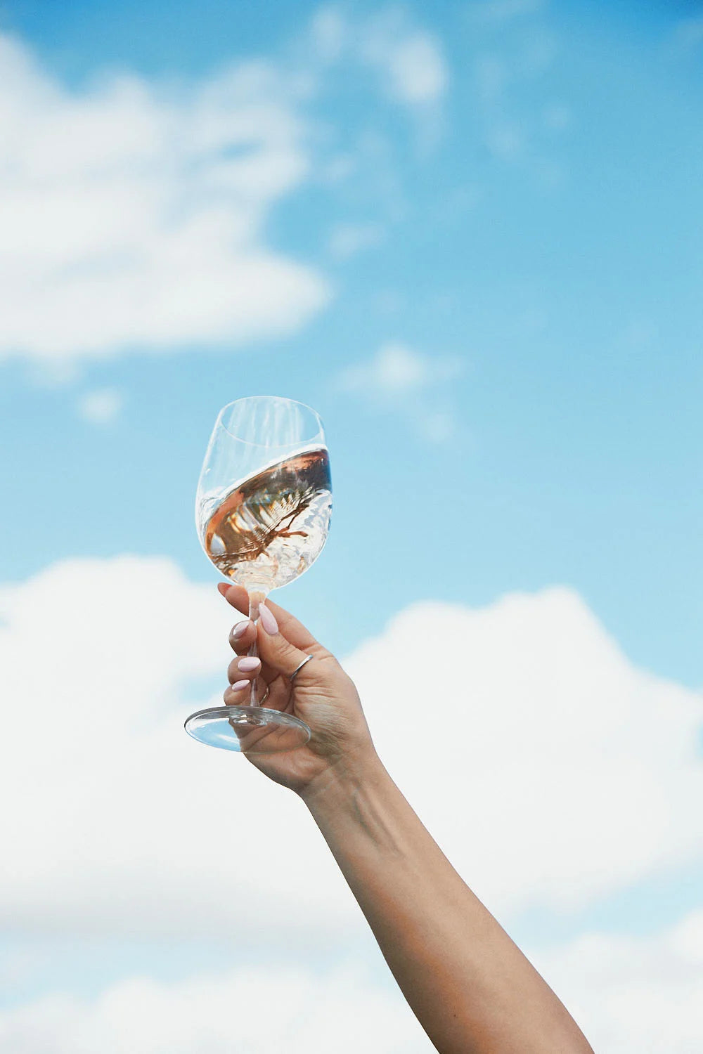 A glass of Folc rosé held up against a summer sky